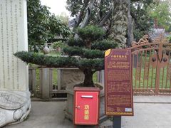 -国恩寺