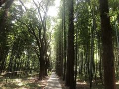 -同里国家湿地公园