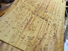 -勃利地摊·勃立小串烧烤