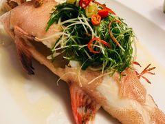 -伯衡55·吉品轩(乌鲁木齐南路店)