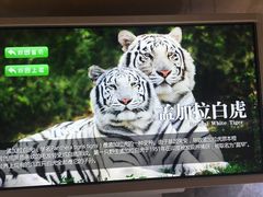 -西安秦岭野生动物园