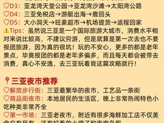 -虎婆冷饮店·海南特色炒冰(三亚湾店)