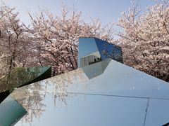 -龙美术馆(西岸馆)