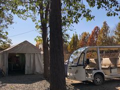 -安德鲁户外烧烤帐篷营地(马泉营店)