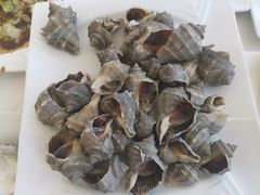 -渔民船说·北塘海鲜·天津菜·海肠捞饭(北塘古镇店)