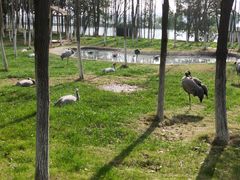 -艾溪湖湿地公园