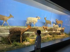 -青藏高原自然博物馆