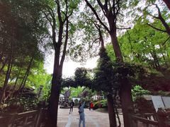 -南山植物园