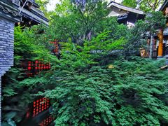 -鱼桥巷·美学川菜