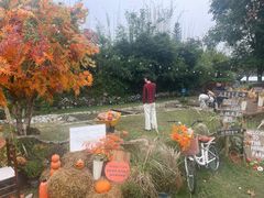 -HERRE·FARM 赫尔露营农场·团建聚会包场