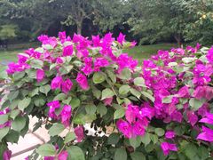 -北京宽沟会议中心