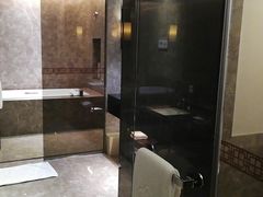 -河源万绿湖美思威尔顿酒店