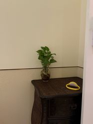 -艾维庭美学SPA