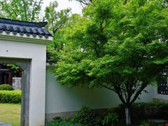 -江心屿景区