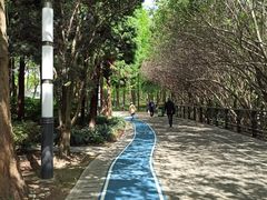 -苏州河梦清园环保主题公园