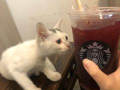 -星巴克(来福士办公楼店)