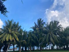 -三亚海棠湾万丽度假酒店