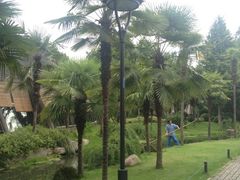 iphone_upload_pic-西湖天地