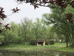 -西溪国家湿地公园