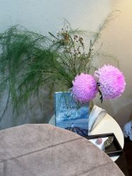 -艾尚灸头道汤养生馆