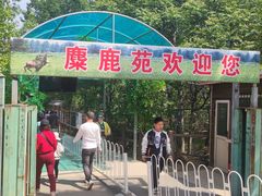 -北京麋鹿生态实验中心