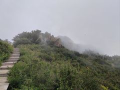 -白草畔自然风景区