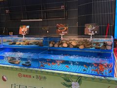 -海底捞火锅(长宁路龙之梦店)