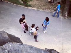 -青岛森林野生动物世界