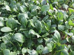 -乡乐园蟹庄·阳澄湖农家乐