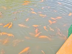 -黛秀湖公园