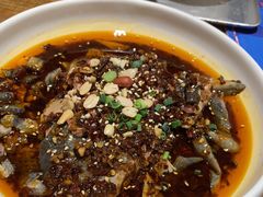 -铁公鸡·四川料理(天环广场店)