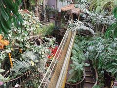 -正佳雨林生态植物园