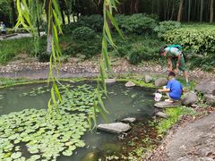 -苏州河梦清园环保主题公园