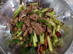-东鸽皇(奥园·中环广场店)