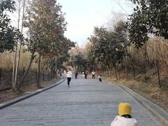 -圌山