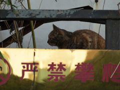 -苏州河梦清园环保主题公园