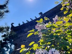 -爱新觉罗皇家博物院