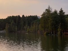 -海珠湖公园