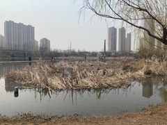 -前关湿地公园