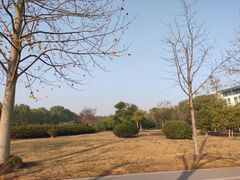 -东华大学(松江校区)