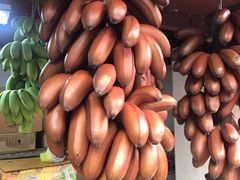 -三亚新鸿港水果一级批发市场