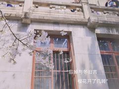 -武汉大学-樱园
