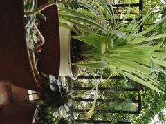 -小世界西餐厅(建国门店)