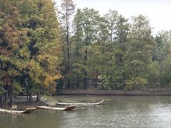 -东湖落雁景区
