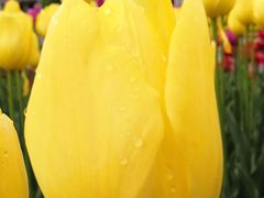 -长春公园(普阳街道)