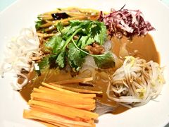 五彩大拉皮-大鸭梨烤鸭店(花园村店)