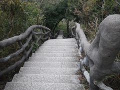 -梧桐山风景名胜区