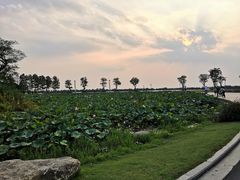 -滆湖低碳生态公园