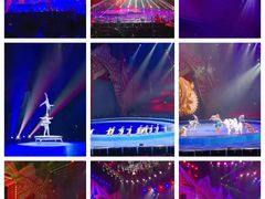 -珠海横琴长隆《卡卡虎奇遇记》