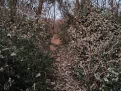 -南山风景名胜区